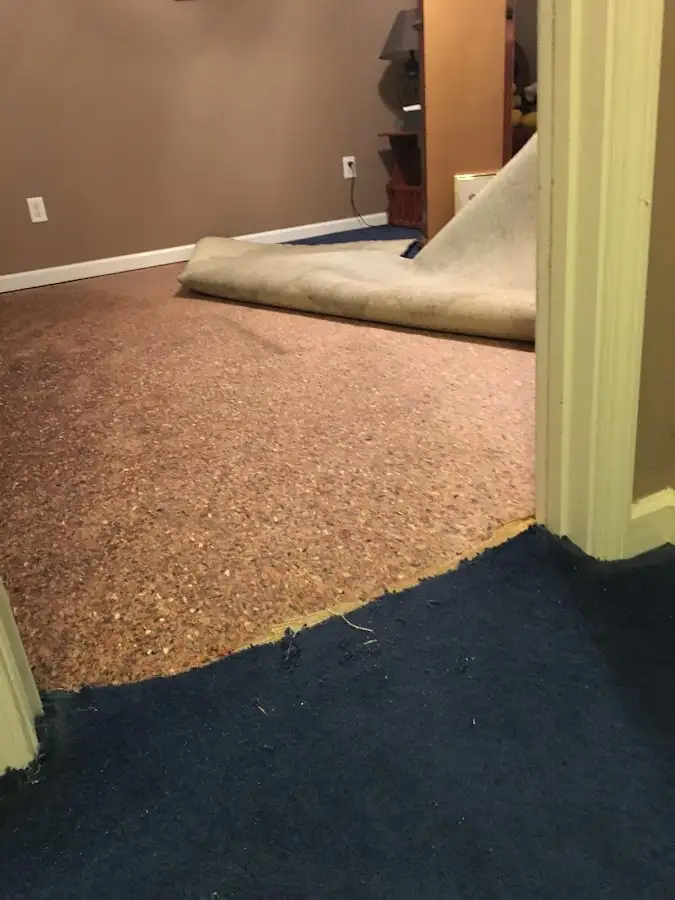 Carpet pad removal revealing water damage during Drying & Dehumidification in Belle Haven