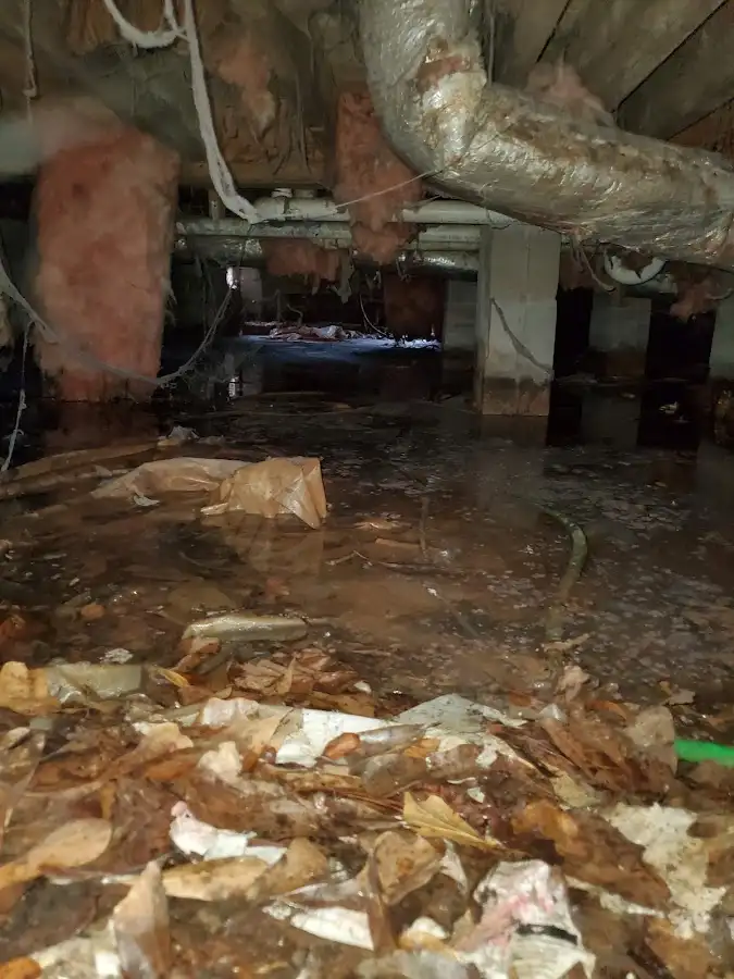 Crawl space flood assessment for Commercial Water Damage Restoration in Belle Haven